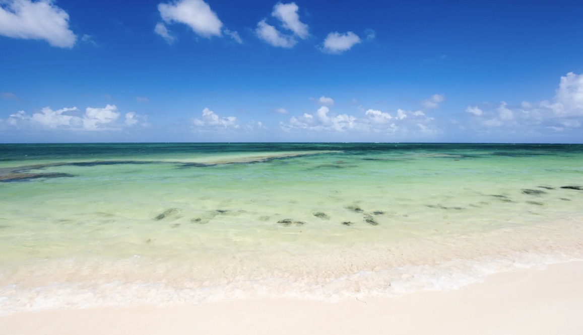 Full Day Charter image 2