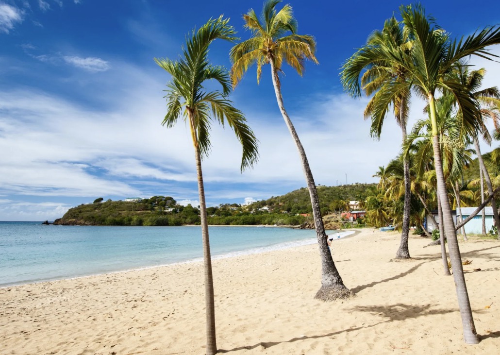 Full Day Charter image 3