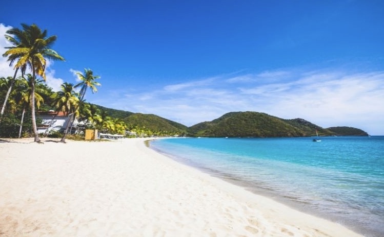 Full Day Charter image 4