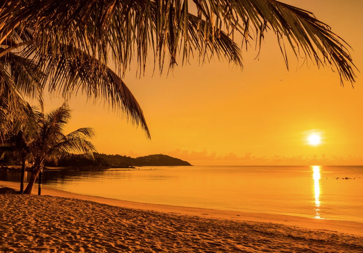 Sunset Cruise image 4